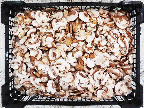 Barna szeletelt csiperke (3 kg)