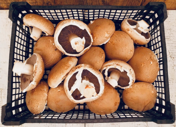 Portobello (2 kg)
